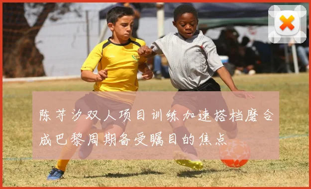 陈芋汐双人项目训练加速搭档磨合成巴黎周期备受瞩目的焦点