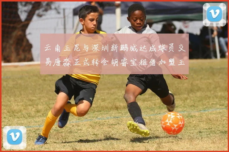 云南玉昆与深圳新鹏城达成球员交易唐淼正式转会胡睿宝租借加盟玉昆